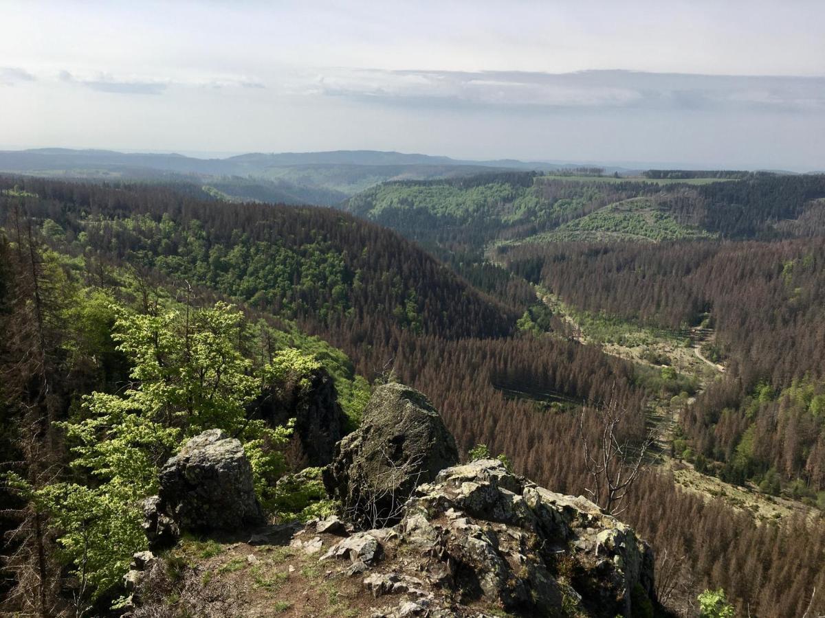Bergwelt Braunlage Exterior foto