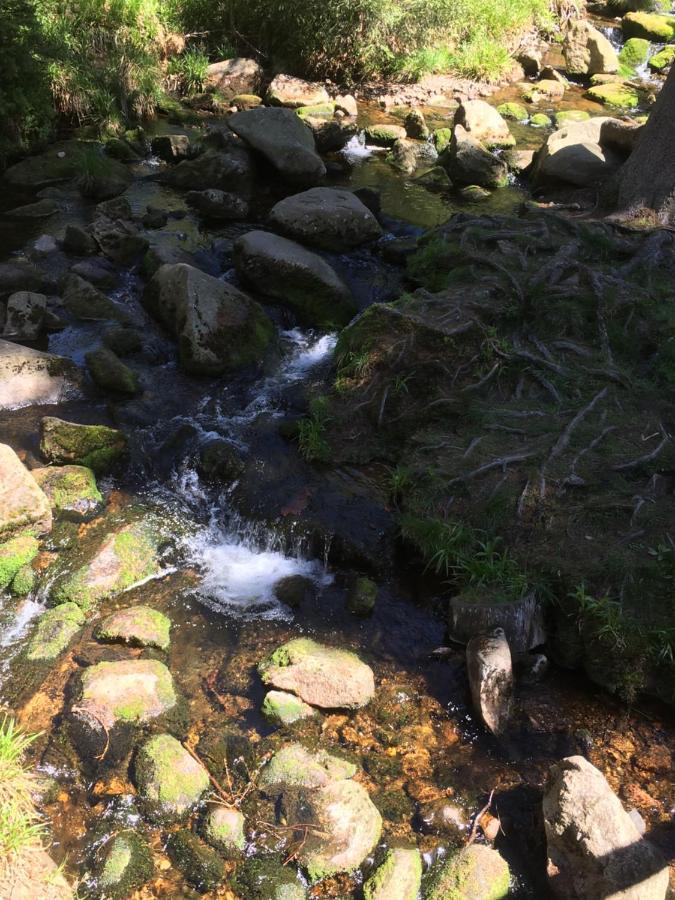Bergwelt Braunlage Exterior foto